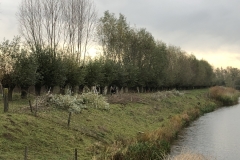 MiniIMG_9963