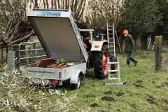 MiniIMG_9964