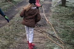 MiniIMG_0316