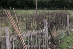 MiniIMG_9661
