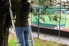 MiniFoto-7