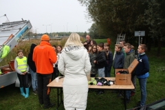 MiniIMG_4378