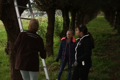 MiniIMG_4387