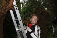 MiniIMG_4388