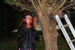 MiniIMG_4391