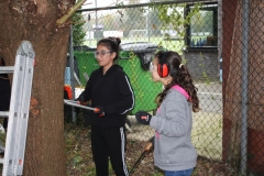 MiniIMG_4407