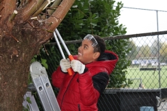 MiniIMG_4408