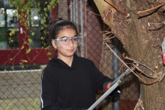 MiniIMG_4409