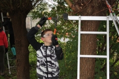 MiniIMG_4410