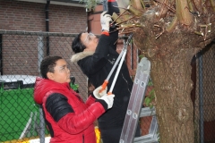 MiniIMG_4411