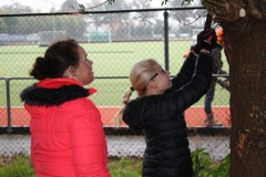 MiniIMG_4415