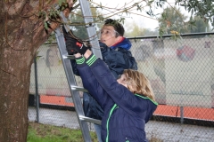 MiniIMG_4416