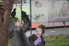 MiniIMG_4424