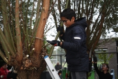 MiniIMG_4430