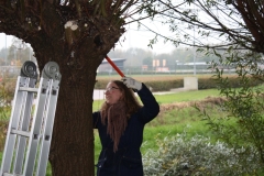MiniIMG_4432