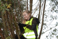 MiniIMG_4451