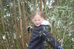 MiniIMG_4460