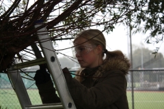 MiniIMG_4469