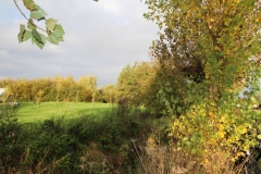MiniIMG_4075