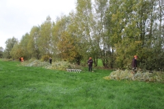 MiniIMG_4123