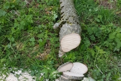 Mini20191026_102041