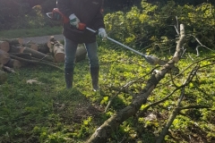 Mini20191026_110848
