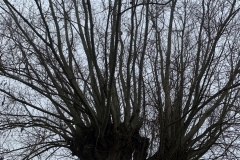 MiniIMG_8030