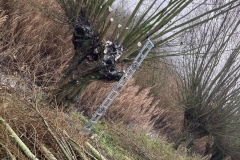 MiniIMG_8056