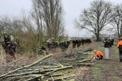 MiniIMG_8059