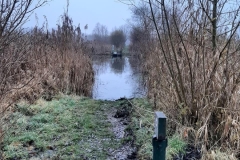 MiniIMG_8063