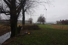 Mini20211229_094625
