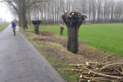 MiniDCZS0022