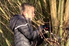 MiniIMG_7619