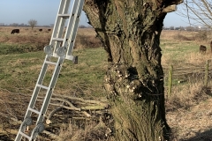 MiniIMG_8545