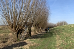 MiniIMG_8546