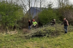 MiniIMG_8976