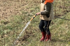 MiniIMG_8789