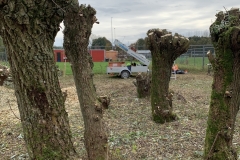 MiniIMG_7672
