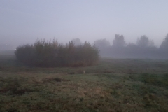 Mini20211023_074741