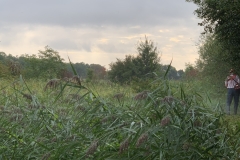 MiniIMG_7132