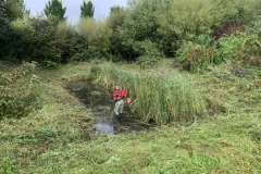 MiniIMG_7144