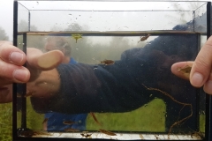 Mini20210918_102546