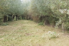 MiniBREY1975