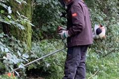 MiniIMG_7417