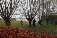 Mini20211127_091845