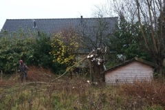 MiniLEJH6208