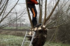 MiniIMG_2081