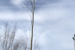 MiniIMG_0702