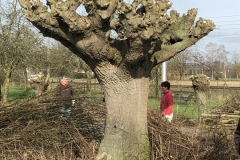 MiniIMG_0706