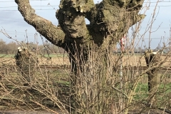 MiniIMG_0707